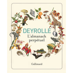 Deyrolle, l'almanach perpétuel