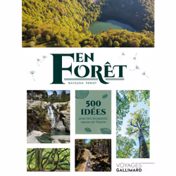 ISBN En forêt, Français, 320 pages