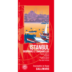 Istanbul : Bosphore et Dardanelles - Sainte-Sophie, Topkapi, Mosquée Bleue, Grand Bazar, Iles des Princes