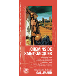 Chemins de Saint-Jacques : la voie de Tours, la voie de Vézelay, la voie du Puy-en-Velay, la voie d'Arles, le chemin du Piémont pyrénéen, Le Camino Francés