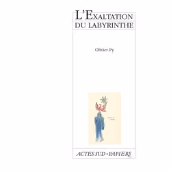 ISBN L'exaltation du labyrinthe, Français, 72 pages