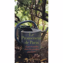 ISBN Le Promeneur de Paris, Français, 424 pages