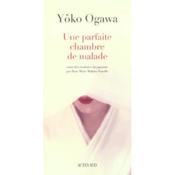 Une parfaite chambre de malade suivi de : La desagrégation du papillon
