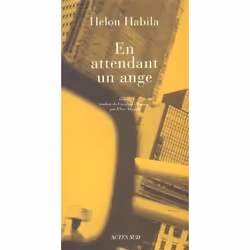 ISBN En Attendant Un Ange, Littérature, Français, Livre broché