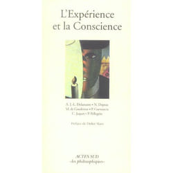 L'Expérience et la Conscience