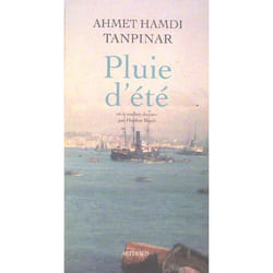 Pluie d'ete