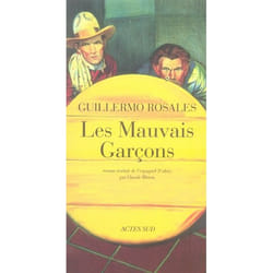 Les Mauvais garçons