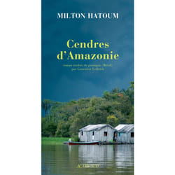 Cendres d'Amazonie