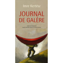 Journal de galère
