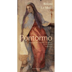 Pontormo - portrait d'un peintre à Florence au XVI siècle