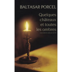 Quelques châteaux et toutes les ombres