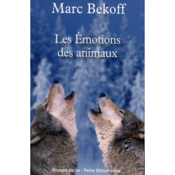 Les émotions des animaux