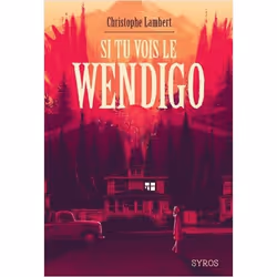 ISBN 9782748527254, Français, Livre broché, 336 pages