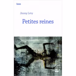 ISBN 9782749156415, Français, Livre broché, 272 pages