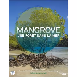 ISBN 9782749157641, Français, Livre broché, 168 pages