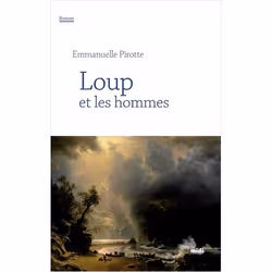ISBN 9782749158112, Français, Livre broché, 608 pages