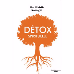 ISBN 9782749160870, Français, Livre broché, 408 pages