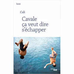 ISBN 9782749161464, Français, Livre broché, 176 pages