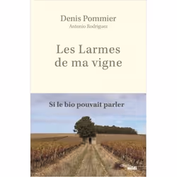 ISBN 9782749163802, Français, Livre broché, 240 pages
