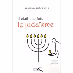 ISBN 9782750906429, Français, Livre broché, 240 pages
