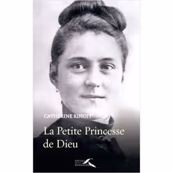 ISBN 9782750907310, Français, Livre broché, 352 pages