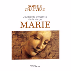 ISBN Journal de grossesse de la vierge Marie : Le livre de Sophie Chauveau, Roman, 292 pages