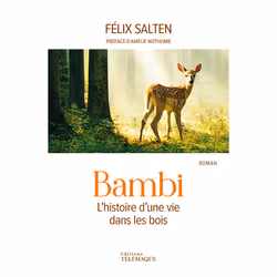 ISBN Bambi - L'histoire d'une vie dans les bois : Le livre de Félix Salten, Roman, 235 pages
