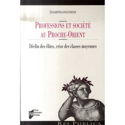 Professions et societe au proche-orient