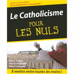 ISBN 9782754001823, Français, Livre broché, 380 pages