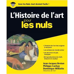 ISBN 9782754002295, Français, Livre broché, 384 pages