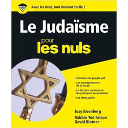 Le judaïsme Pour les nuls (Broché)