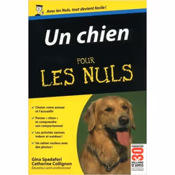 ISBN 9782754013208, Français, 306 pages