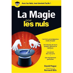 ISBN 9782754032315, Français, 340 pages