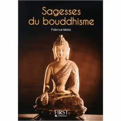 ISBN 9782754038171, Français, 160 pages
