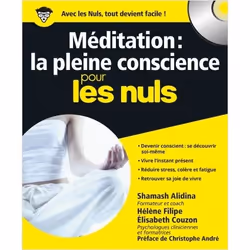ISBN 9782754044639, Français, Livre broché, 384 pages