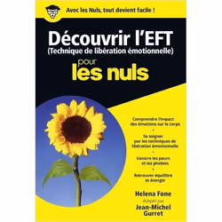 ISBN 9782754072793, Français, 400 pages