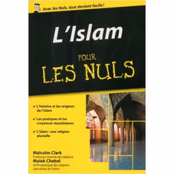 ISBN 9782754074582, Français, 400 pages