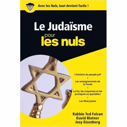 ISBN 9782754074605, Français, 400 pages