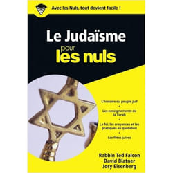 Le judaïsme Poche Pour les Nuls (Poche)