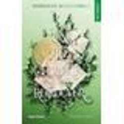 Seasons Tome 4 : Un été pour te retrouver