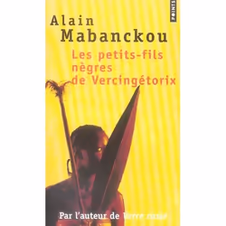 ISBN Les Petits-Fils Negres De Vercingetorix, Littérature, Français