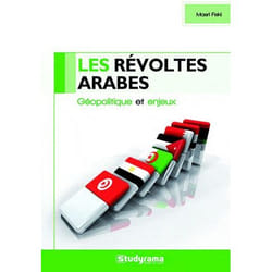 Les révoltes arabes - géopolitique et enjeux