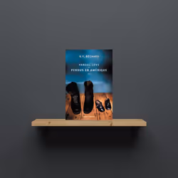 ISBN Vandal Love ou Perdus en Amérique, 344 pages