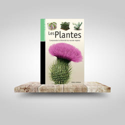 ISBN Les Guides de la connaissance - Les Plantes livre