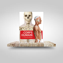 Le corps humain : Comprendre notre organisme et son fonctionnement (2e édition)