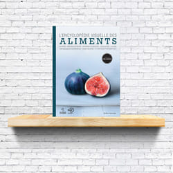 ISBN L’Encyclopédie visuelle des aliments (nouvelle édition) livre