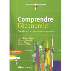 Comprendre l'économie - questions économiques contemporaines