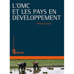 L'OMC et les pays en développement