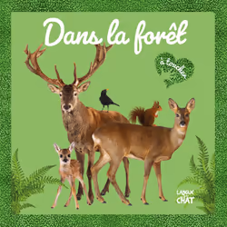 ISBN Mon grand Bébé touche-à-tout - Dans la forêt : Le livre de Collectif, Collectif, 12 pages