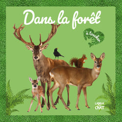ISBN Mon grand Bébé touche-à-tout - Dans la forêt : Le livre de Collectif, Collectif